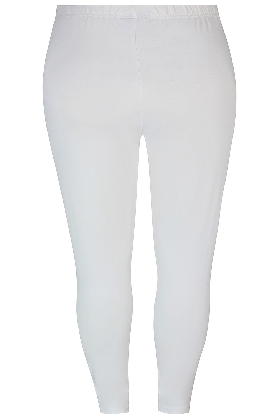 ZH - Bambou 793 - Legging -