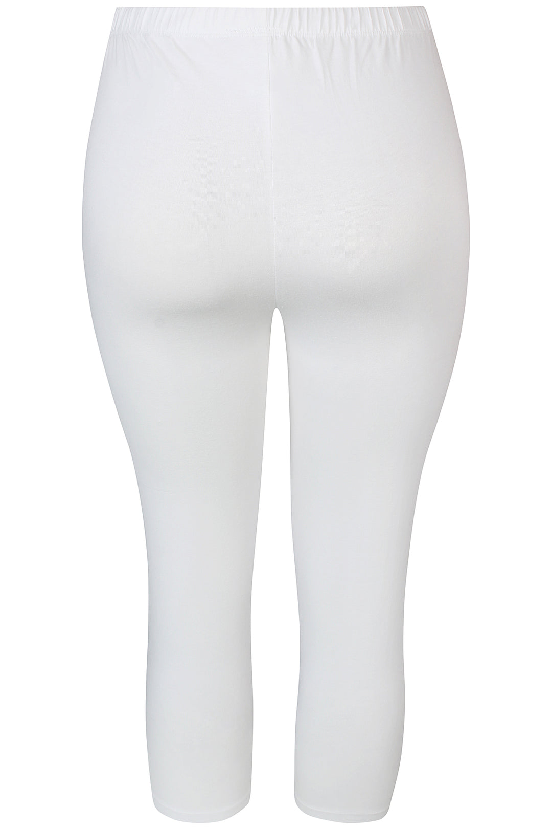 ZE - Malus 891 - Legging -